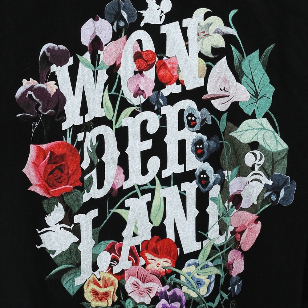 ISO Disney Alice in Wonderland shirt/hoodie